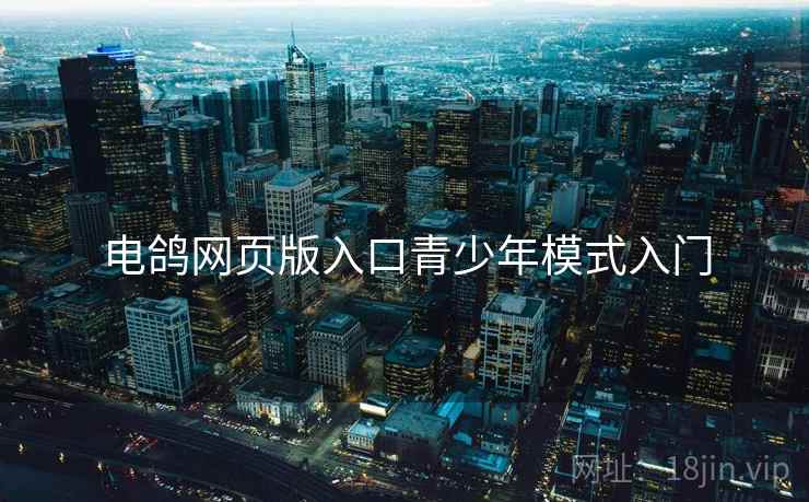 电鸽网页版入口青少年模式入门