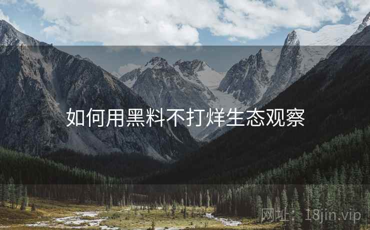 如何用黑料不打烊生态观察