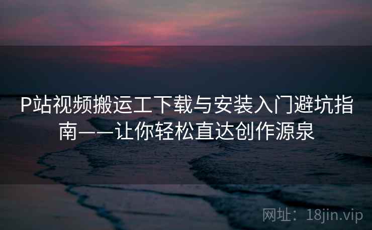 P站视频搬运工下载与安装入门避坑指南——让你轻松直达创作源泉