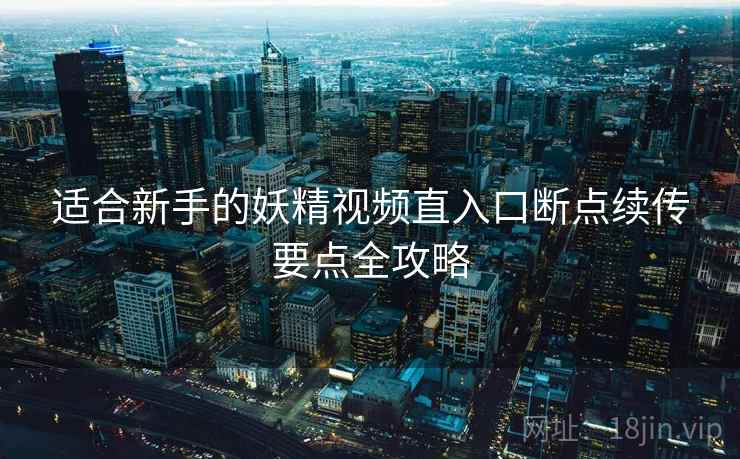 适合新手的妖精视频直入口断点续传要点全攻略