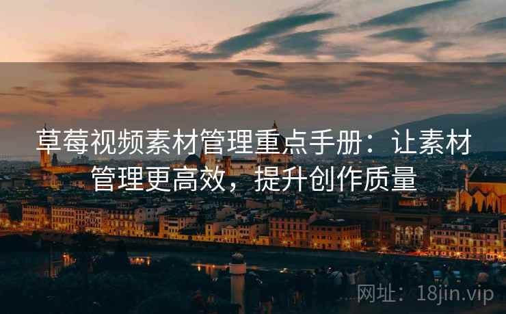 草莓视频素材管理重点手册：让素材管理更高效，提升创作质量