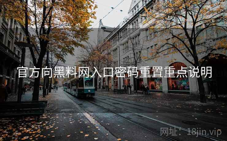 官方向黑料网入口密码重置重点说明
