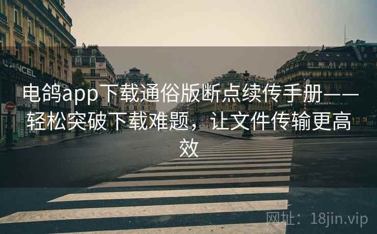 电鸽app下载通俗版断点续传手册——轻松突破下载难题，让文件传输更高效