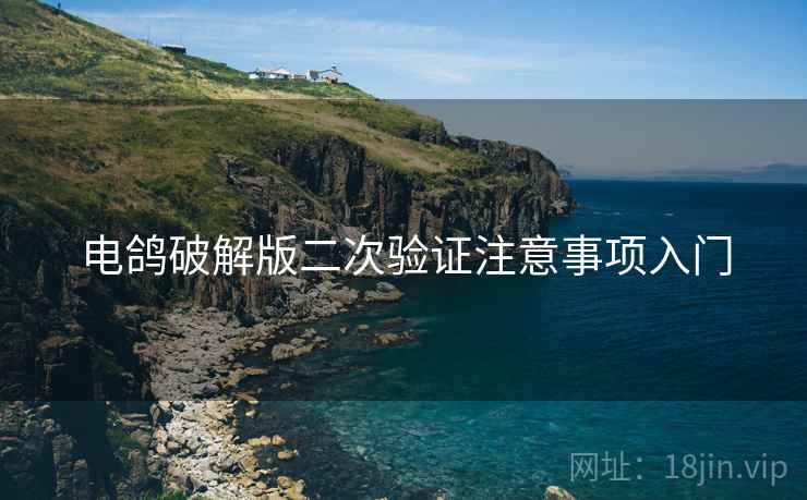 电鸽破解版二次验证注意事项入门