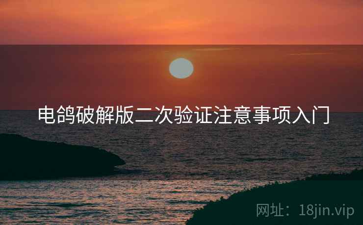 电鸽破解版二次验证注意事项入门