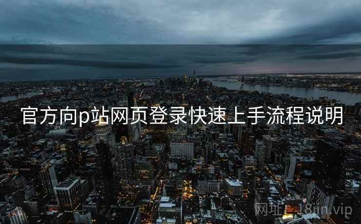 官方向p站网页登录快速上手流程说明
