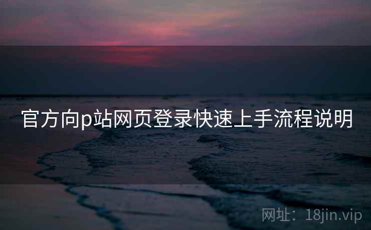 官方向p站网页登录快速上手流程说明