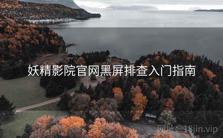 妖精影院官网黑屏排查入门指南
