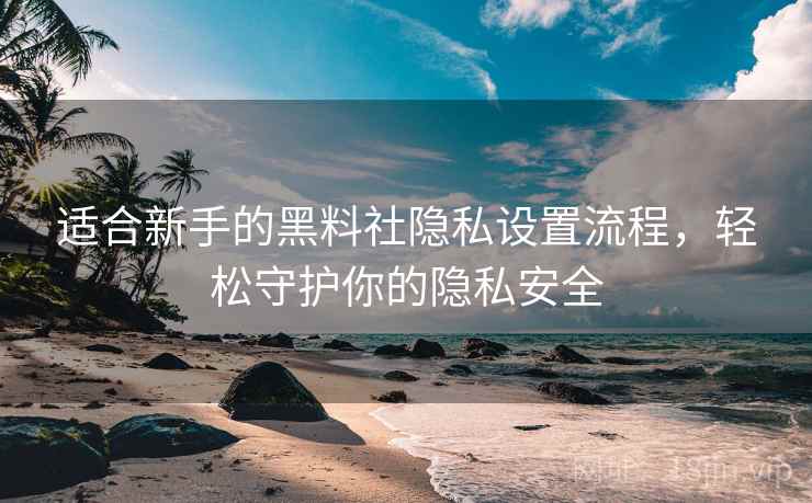 适合新手的黑料社隐私设置流程，轻松守护你的隐私安全