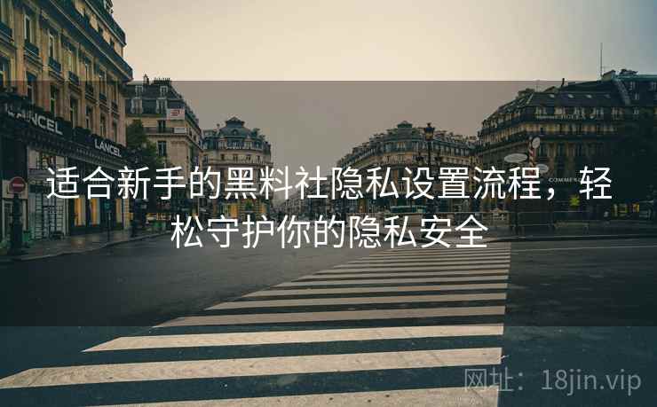 适合新手的黑料社隐私设置流程，轻松守护你的隐私安全