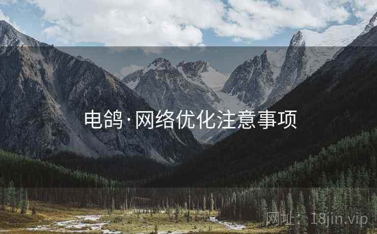 电鸽·网络优化注意事项