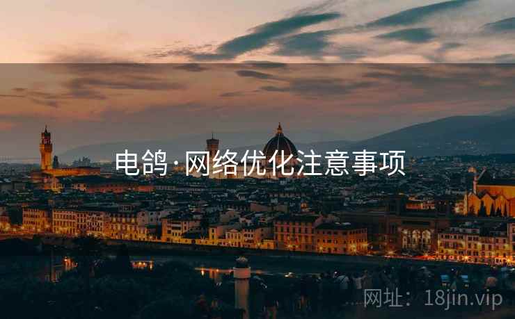 电鸽·网络优化注意事项