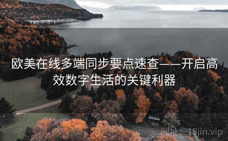 欧美在线多端同步要点速查——开启高效数字生活的关键利器