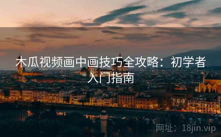 木瓜视频画中画技巧全攻略：初学者入门指南