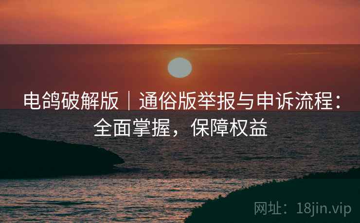 电鸽破解版｜通俗版举报与申诉流程：全面掌握，保障权益