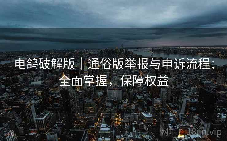 电鸽破解版｜通俗版举报与申诉流程：全面掌握，保障权益