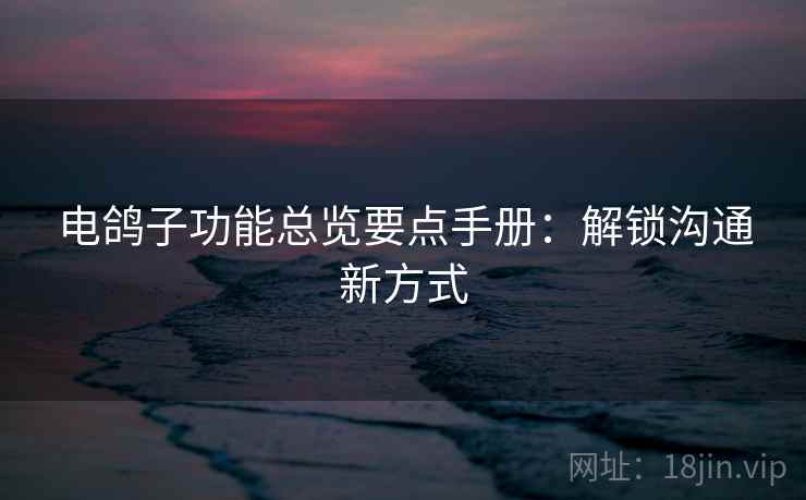 电鸽子功能总览要点手册：解锁沟通新方式