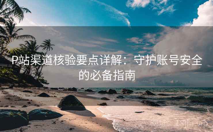 P站渠道核验要点详解：守护账号安全的必备指南